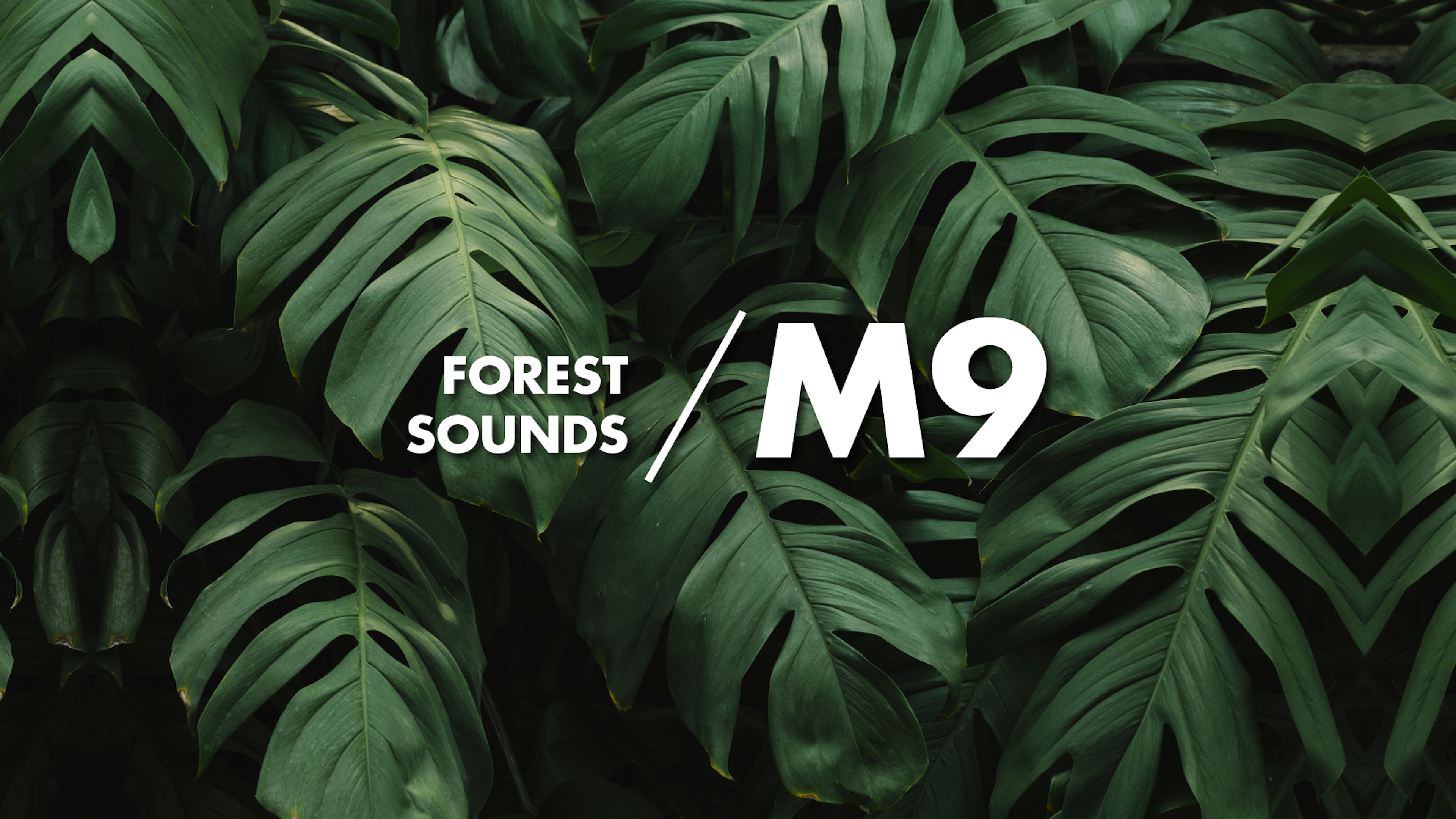 Forest Sound - M9